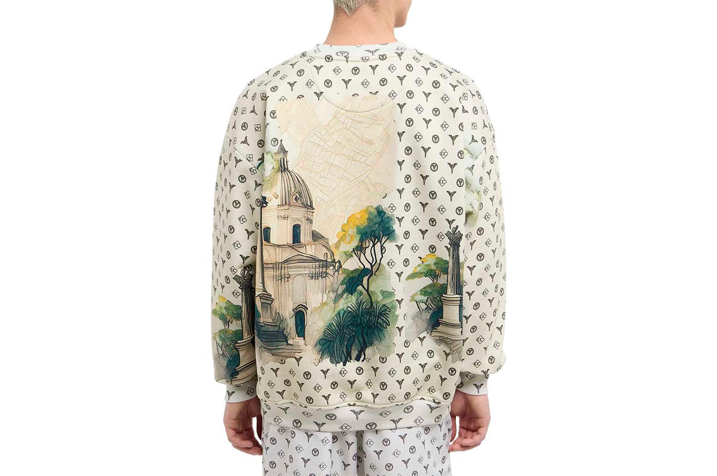 Oversize Sweatshirt - Torn pages of Colucci