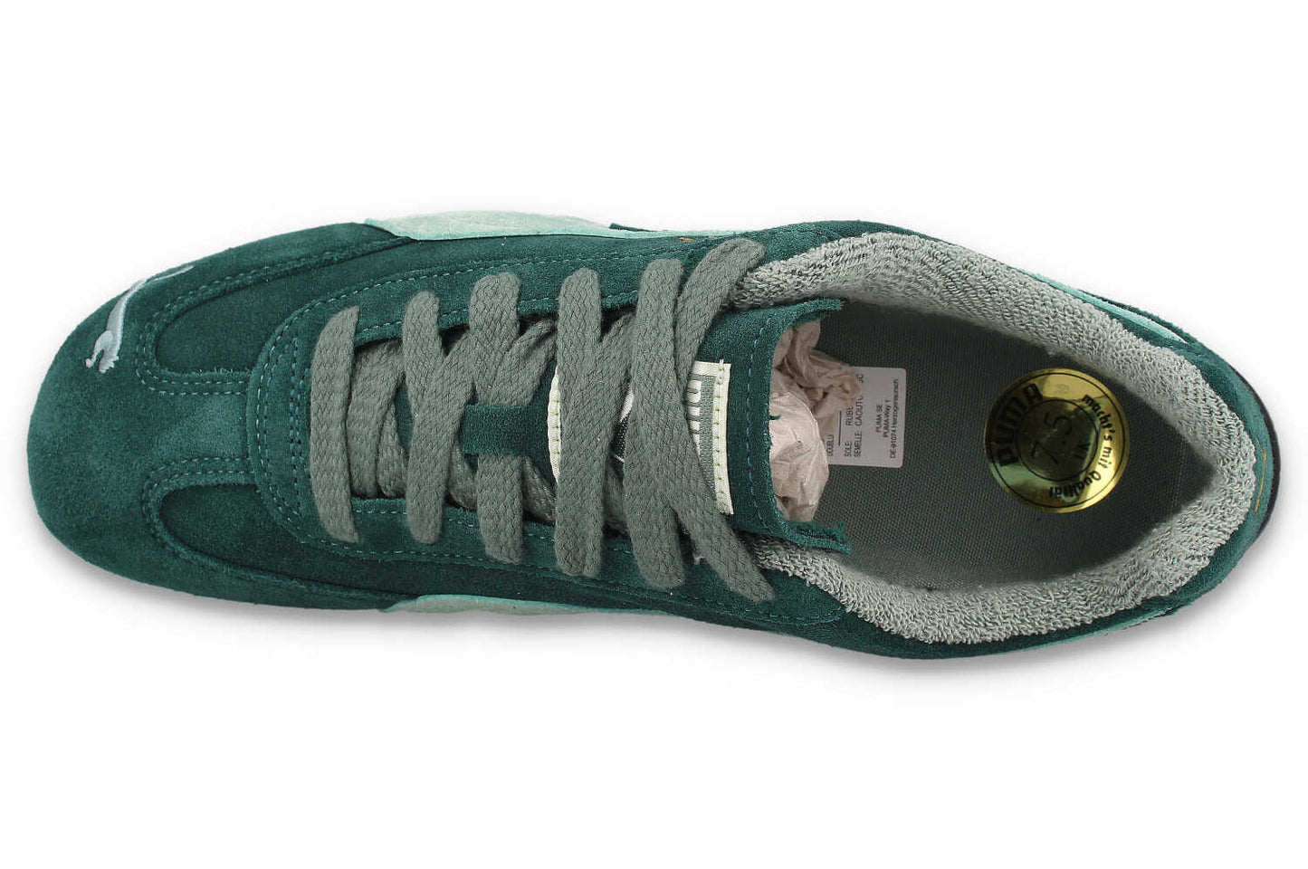 Speedcat OG - The Neverworn