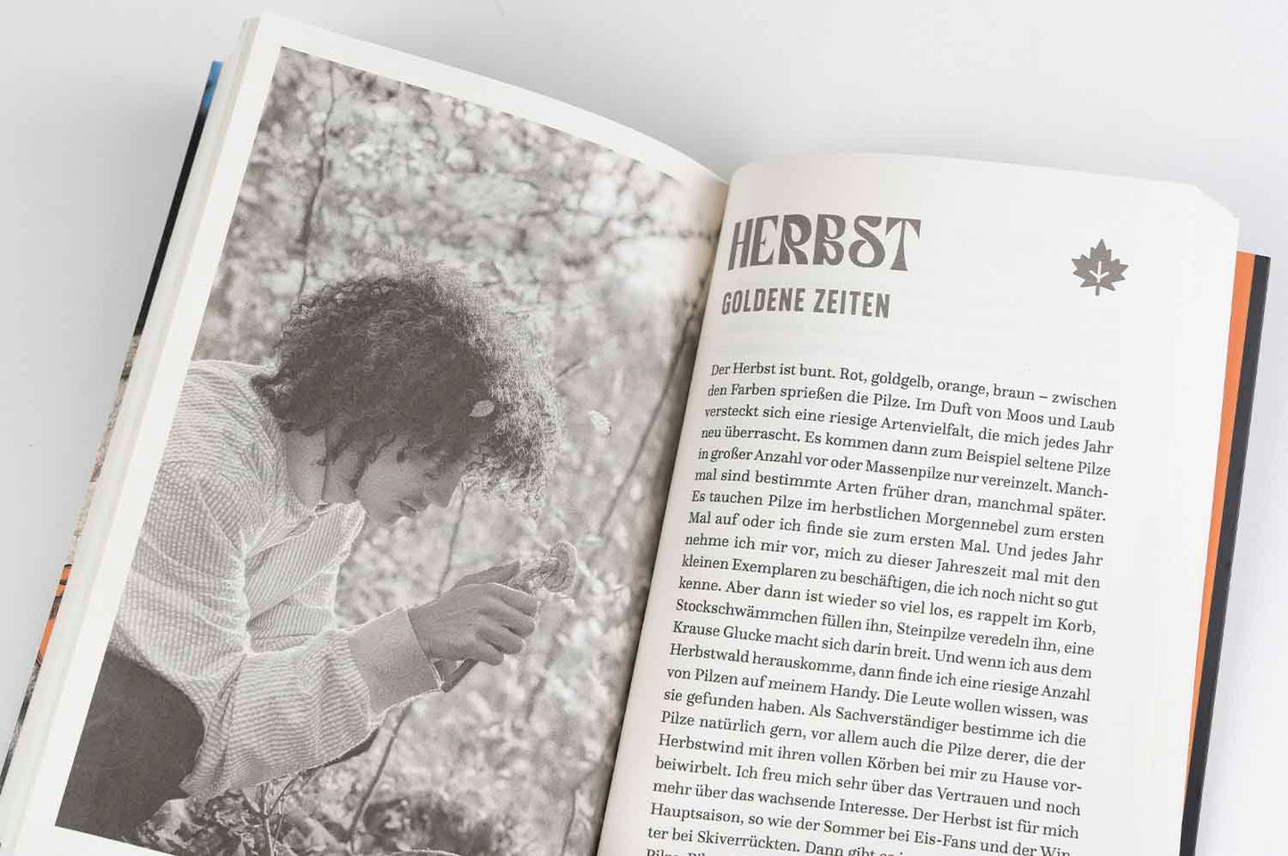 Tristan Jurisch | In den Pilzen