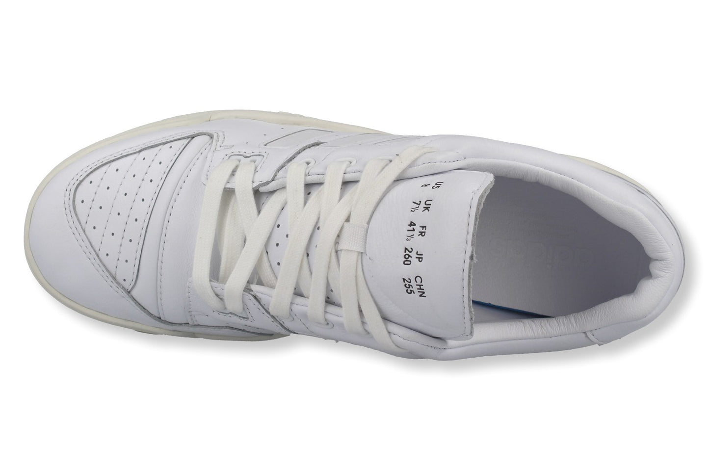 Torsion Comp - Schrittmacher Shop