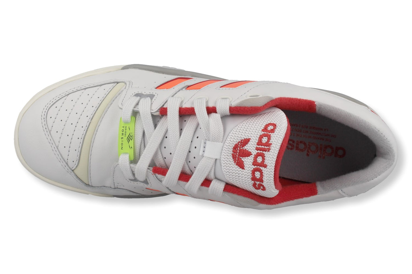 Torsion Comp - Schrittmacher Shop