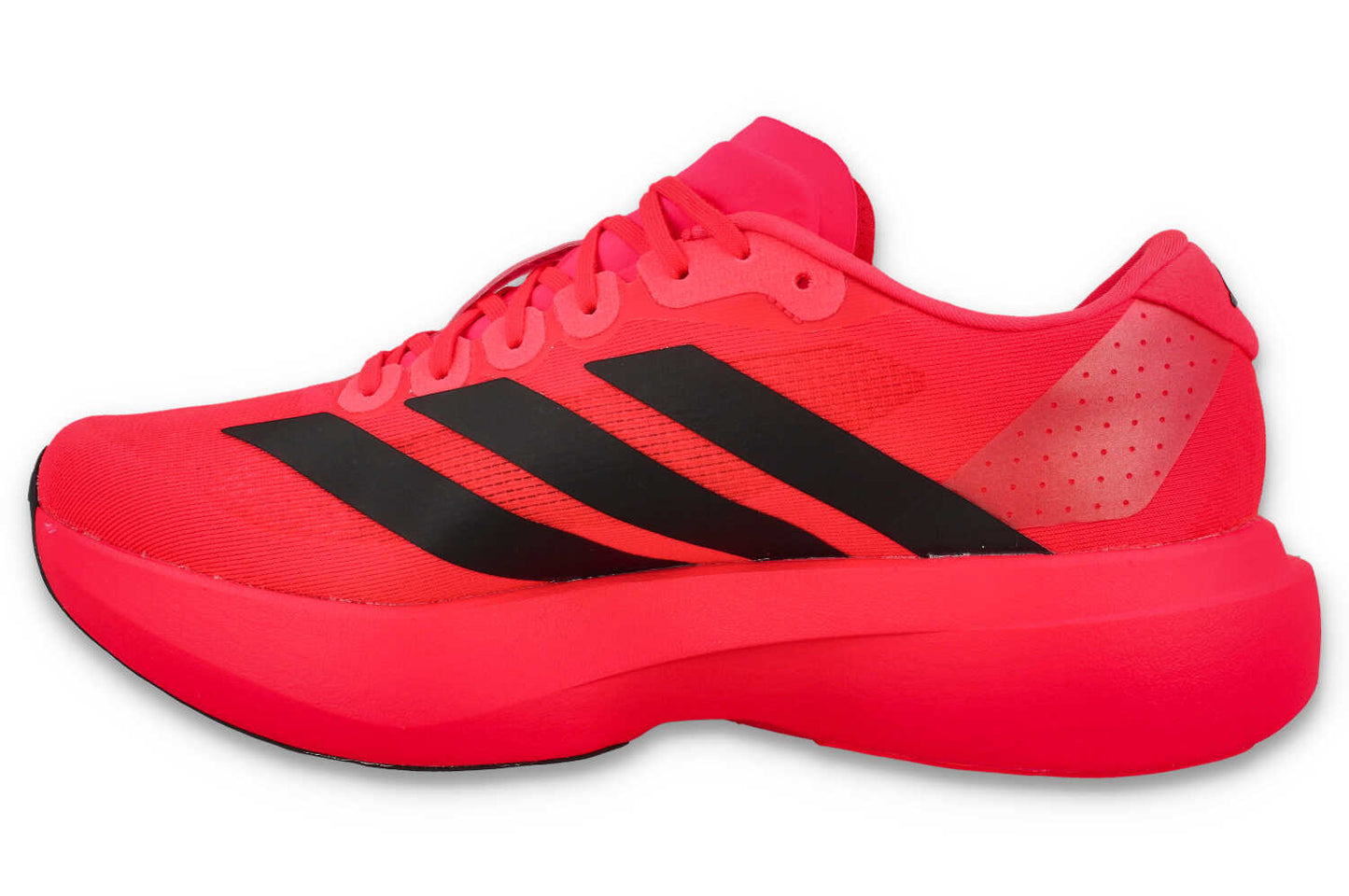 adizero Evo SL M