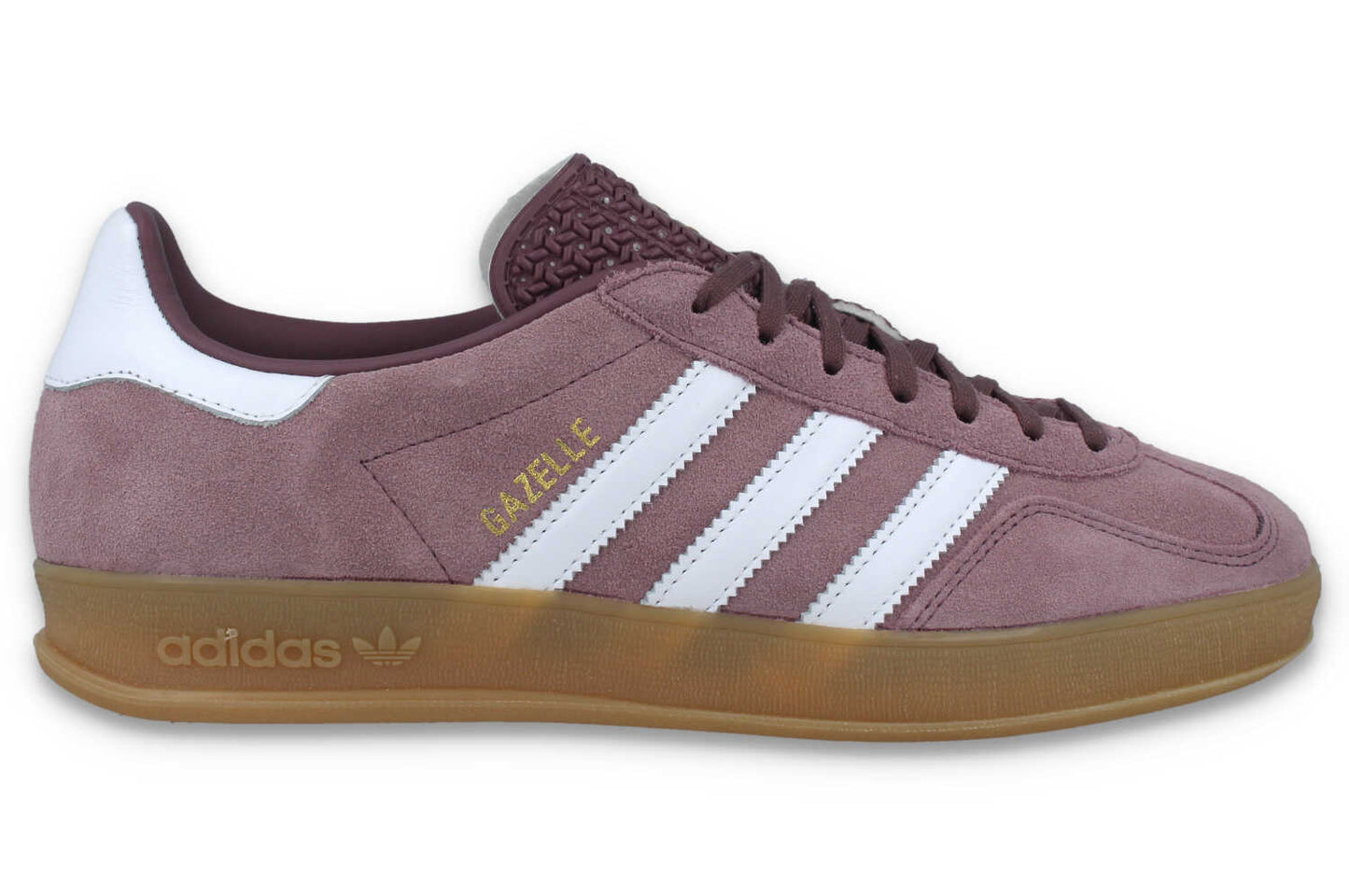 Gazelle Indoor
