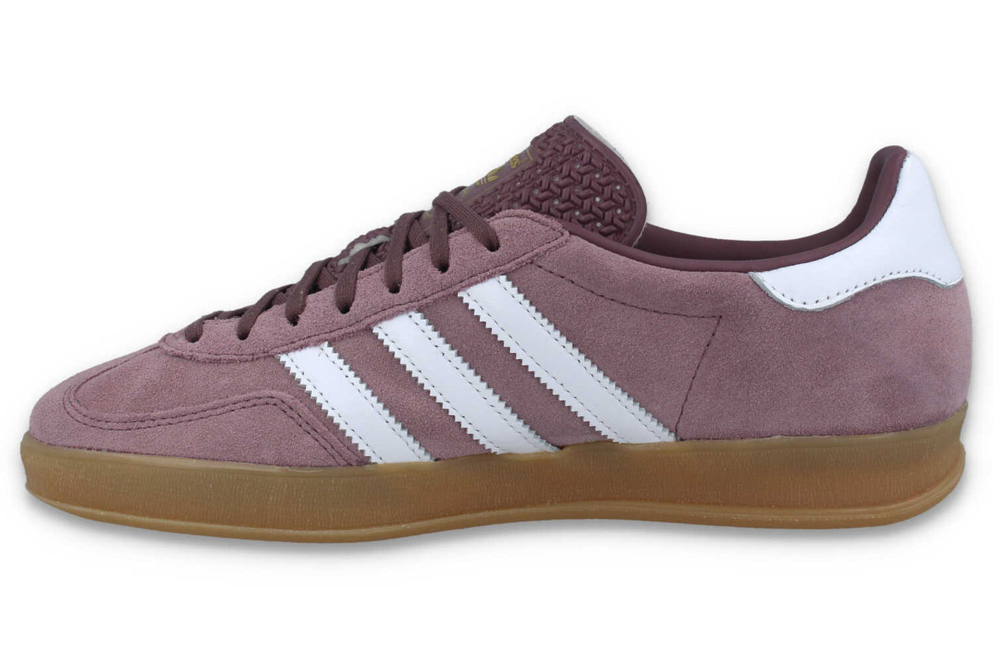 Gazelle Indoor