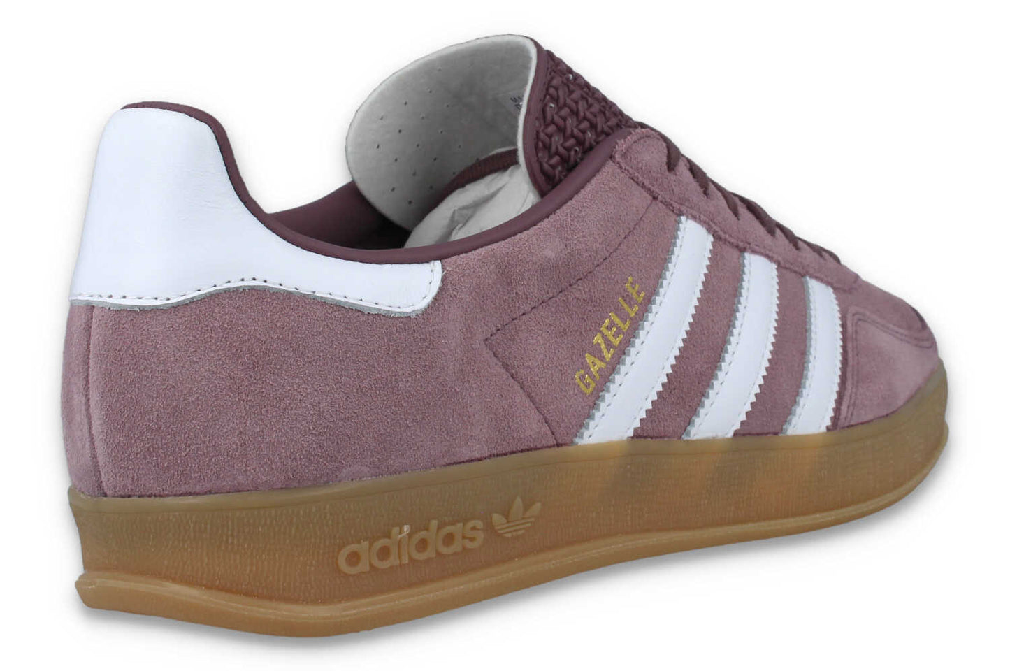 Gazelle Indoor