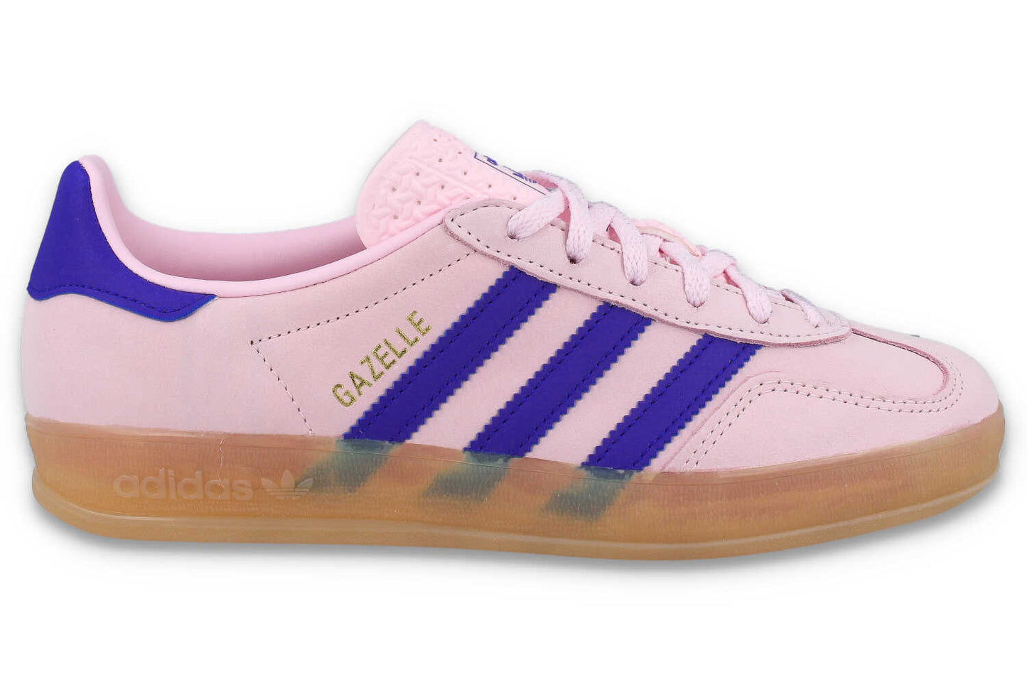 Gazelle Indoor W