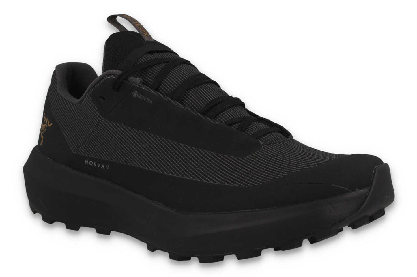 Arc'teryx Norvan LD 4 GORE-TEX® Trailrunningschuh Schwarz Herren – Ansicht schräg von vorn
