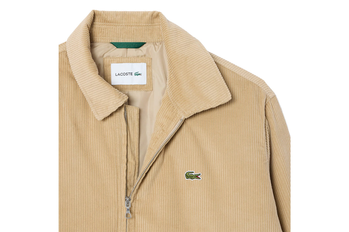 Bomberjacke Cord