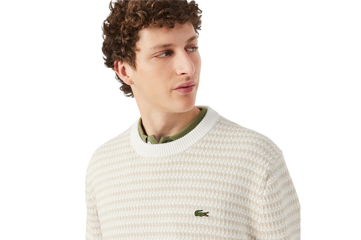 Knit Crew Sweater