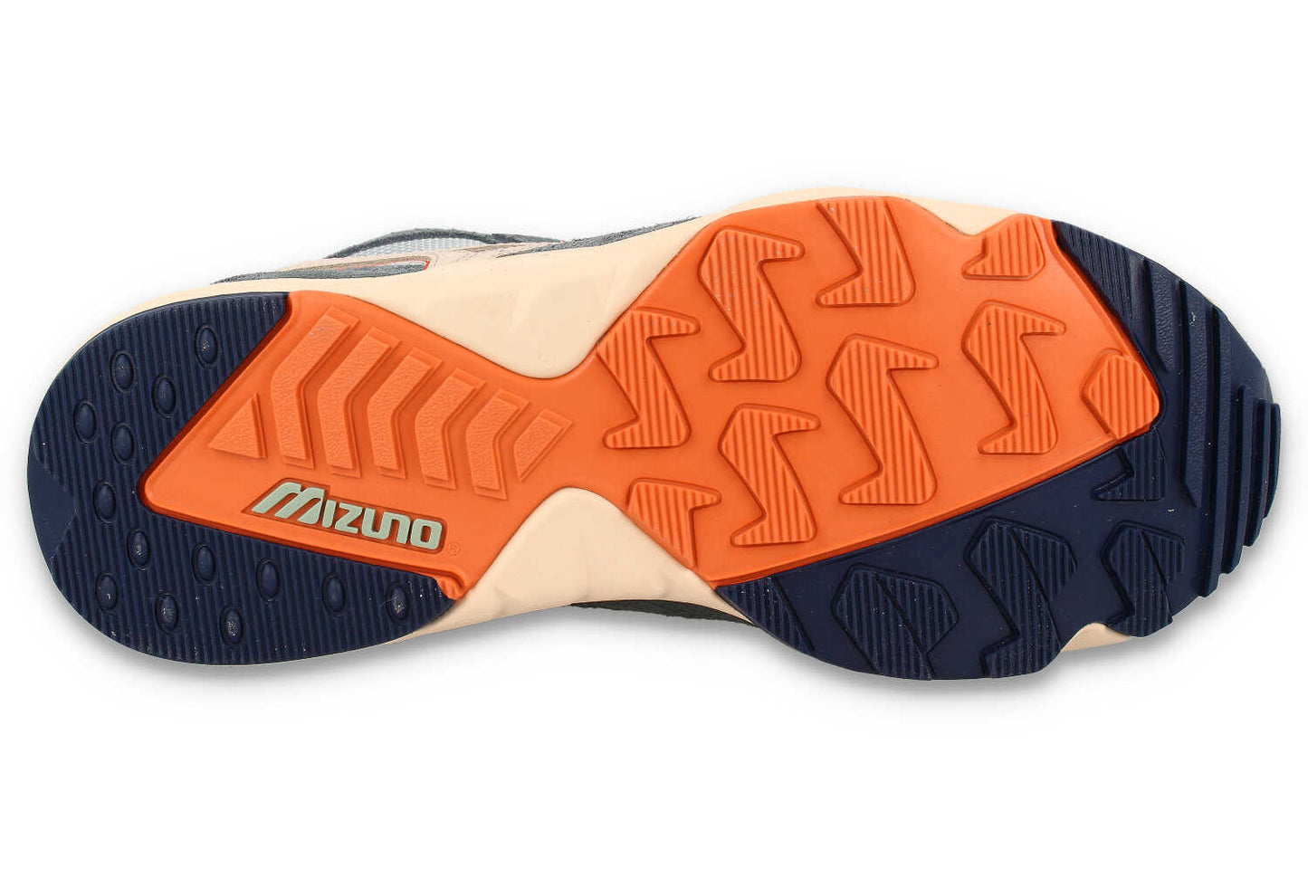 Contender - RIJKSMUSEUM