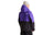 Evryday Anorak - 