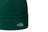 Norm Beanie - 