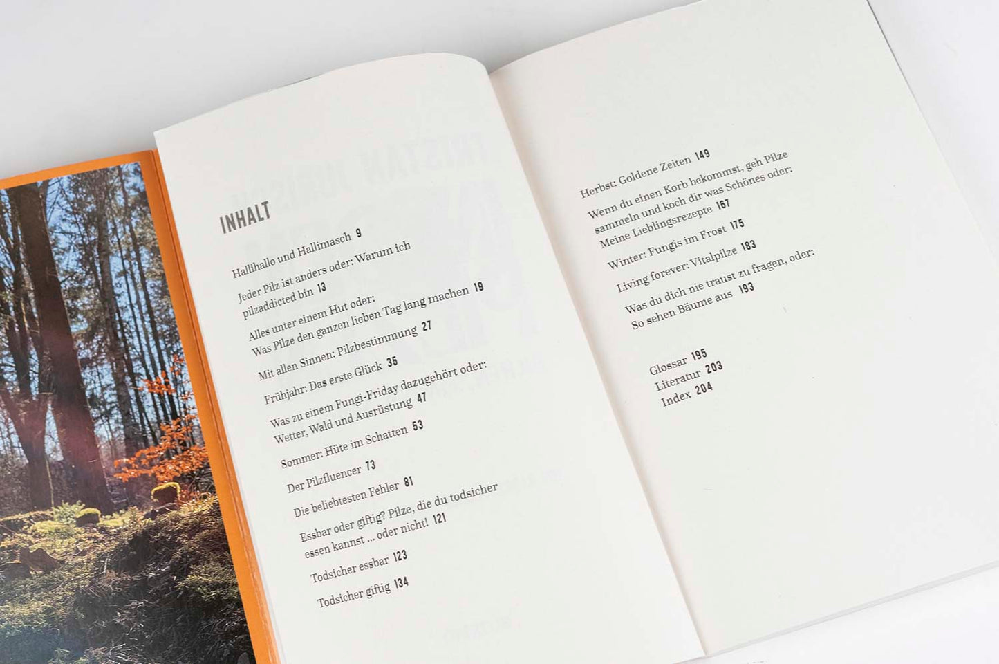 Tristan Jurisch | In den Pilzen