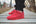 Gel-Lyte III - Valentines Pack - Schrittmacher Shop