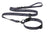 Script Dog Leash & Collar - 