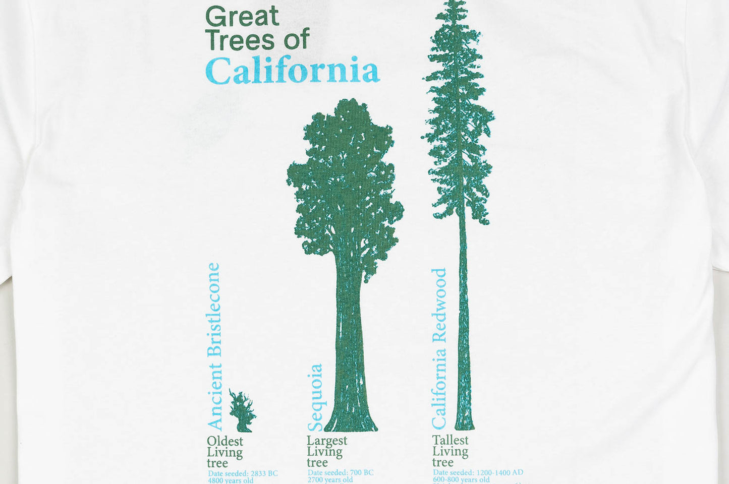 Cali Trees Tee