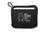 Stash Backpack - 