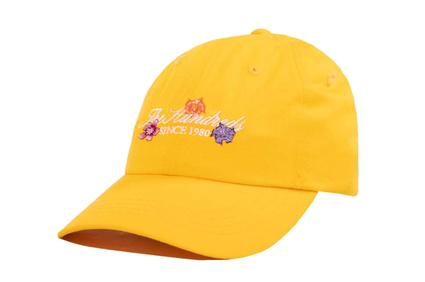 S22 Rich Dad Hat